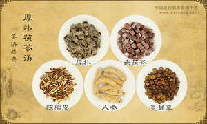 厚朴茯苓汤