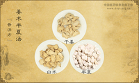 姜术半夏汤