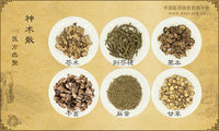 神术散《医方类聚》