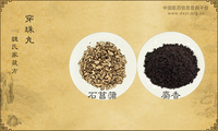 穿珠丸《魏氏家藏方》