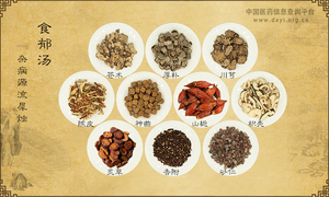 食郁汤《杂病源流犀烛》