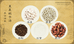 星夏栀子汤