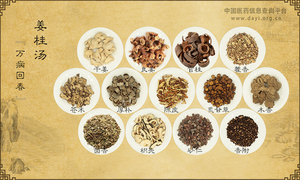 姜桂汤《万病回春》
