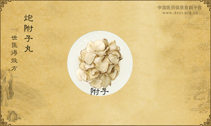 炮附子丸《世医得效方》