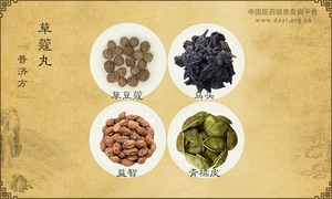 草蔻丸