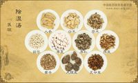 除湿汤《医统》