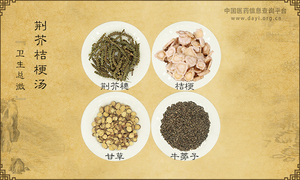 荆芥桔梗汤《卫生总微》
