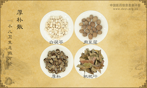 厚朴散《小儿卫生总微方论》