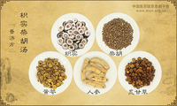 枳实柴胡汤