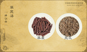 荜芫汤