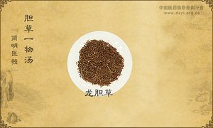 胆草一物汤《简明医彀》