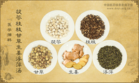 茯苓桂枝甘草生姜浮萍汤