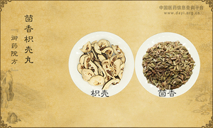 茴香枳壳丸