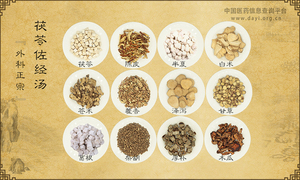 茯苓佐经汤