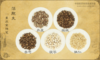 荡胞丸
