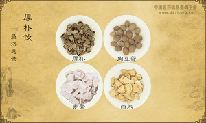 厚朴饮