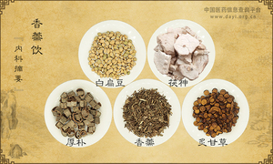 香薷饮《内科摘要》