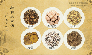 桂枝大黄汤