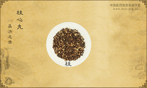 桂心丸《圣济总录》卷五十五