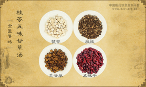 桂苓五味甘草汤