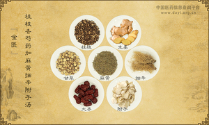 桂枝去芍药加麻黄细辛附子汤