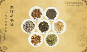 涤秽消痧汤