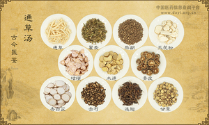 通草汤《古今医鉴》