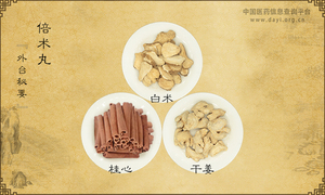 倍术丸
