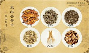 家秘香薷饮