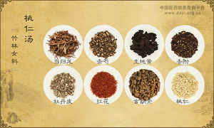 桃仁汤《竹林女科》