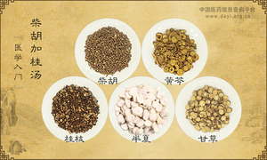 柴胡加桂汤
