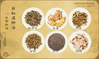 家秘温肺汤
