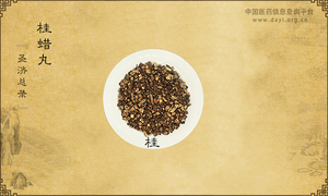桂蜡丸