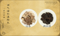 调气滋补温肠丸