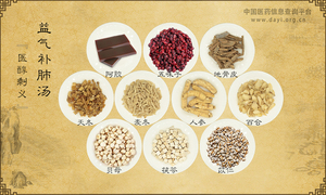 益气补肺汤《医醇剩义》