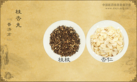 桂杏丸