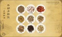 柴胡清肝饮《症因脉治》卷一