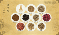 读书丸《医统》