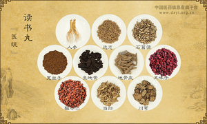 读书丸《医统》