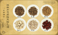 桂枝加芍药防风防己汤