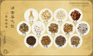 消食导气饮