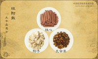 桂附散《太平圣惠方》