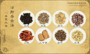 凉肝导赤汤《疡医大全》