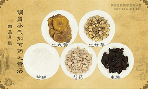 调胃承气加芍药地黄汤