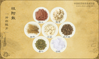 桂附散《御药院方》
