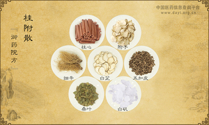 桂附散《御药院方》