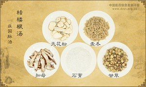 栝楼根汤《症因脉治》