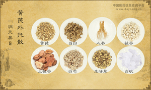黄芪外托散