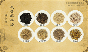 救焚解毒汤《辨证录》