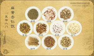 麻黄杏仁饮